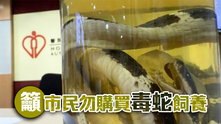 少年網(wǎng)購內(nèi)地毒蛇被咬險喪命 換血5次才獲救
