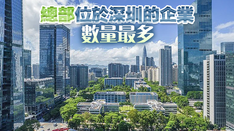 廣東81家企業(yè)、粵港澳大灣區(qū)108家企業(yè)上榜2024胡潤中國500強