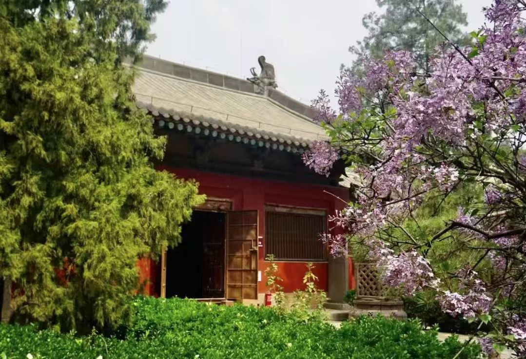 山西稷山青龍寺：元代壁畫(huà)別樣美 千年古剎綻芳華