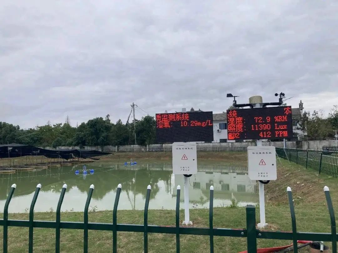 黃山徽揚物聯(lián)科技：推動產(chǎn)業(yè)數(shù)字化乘風(fēng)起勢