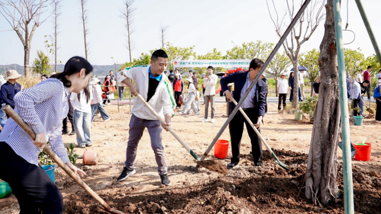 粵港澳青年共植「青年林」 繪就綠美橫琴新家園