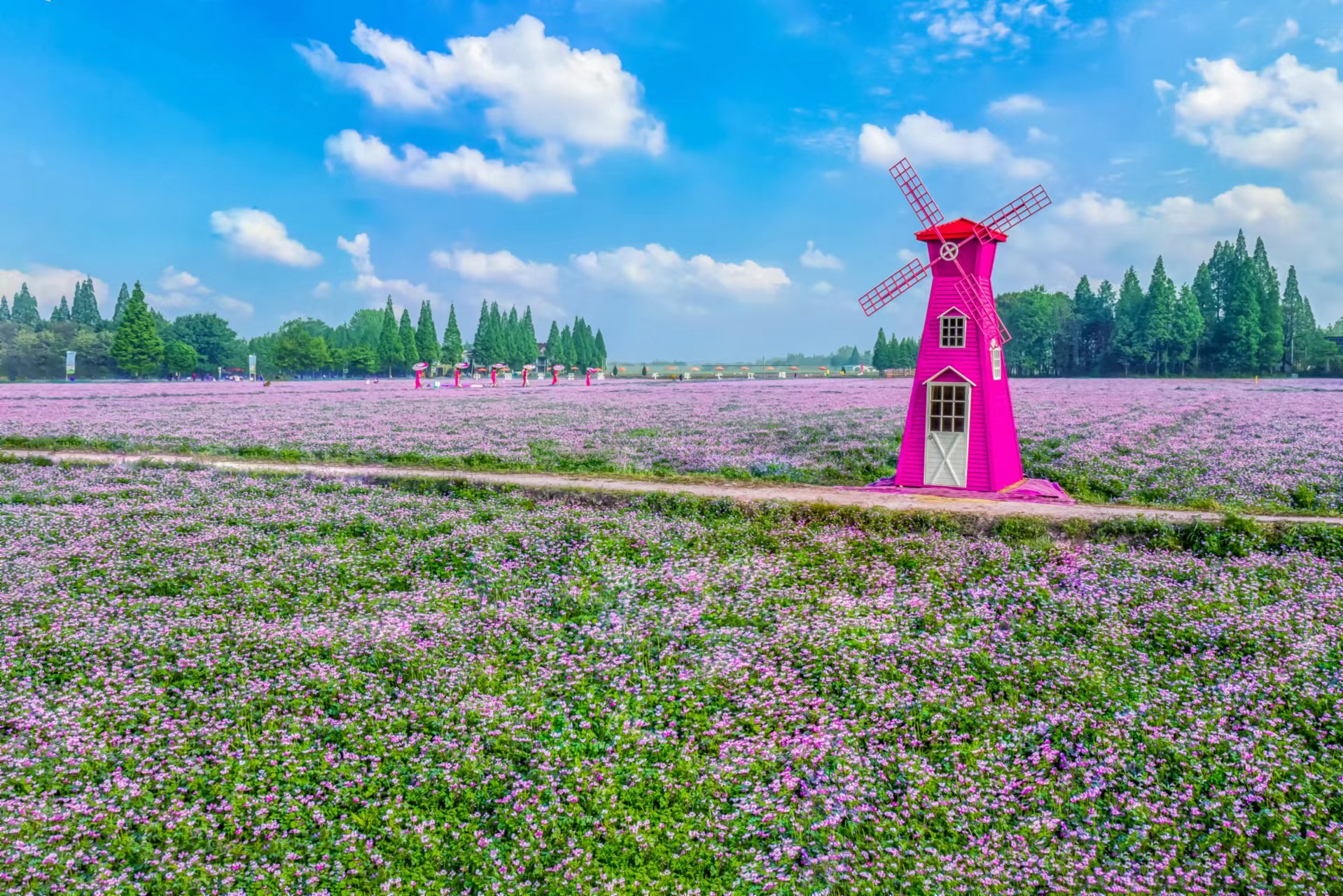 安徽南陵：紫雲(yún)英繪就田園美畫卷 「+」出鄉(xiāng)村振興新未來