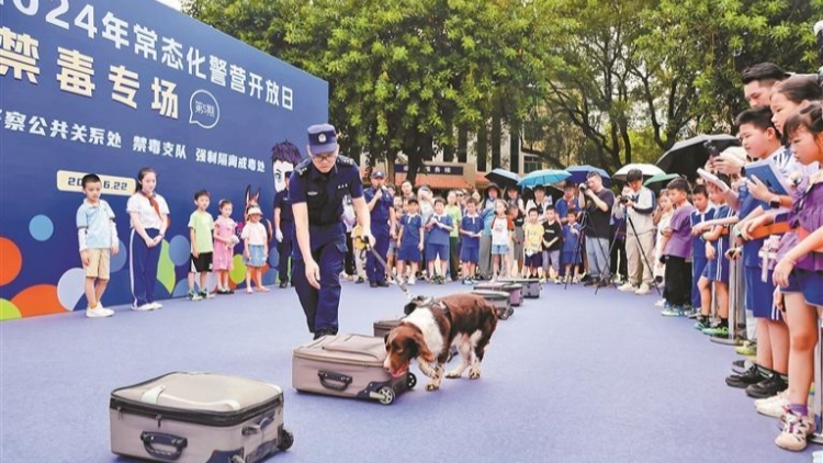 深圳群眾安全感、公安工作滿意度再獲廣東「雙第一」