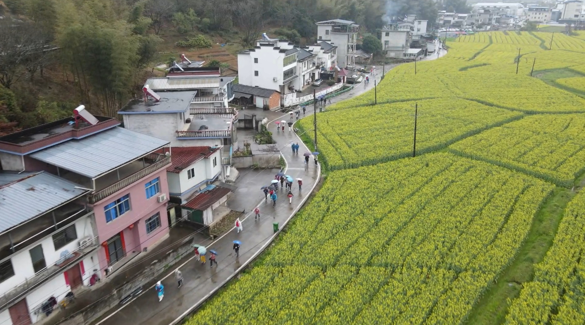 皖屯溪區(qū)：花海賽道  浪漫開跑
