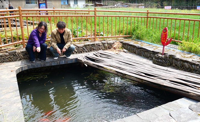賞花又看魚  皖休寧泉水魚鄉(xiāng)引客來(lái)