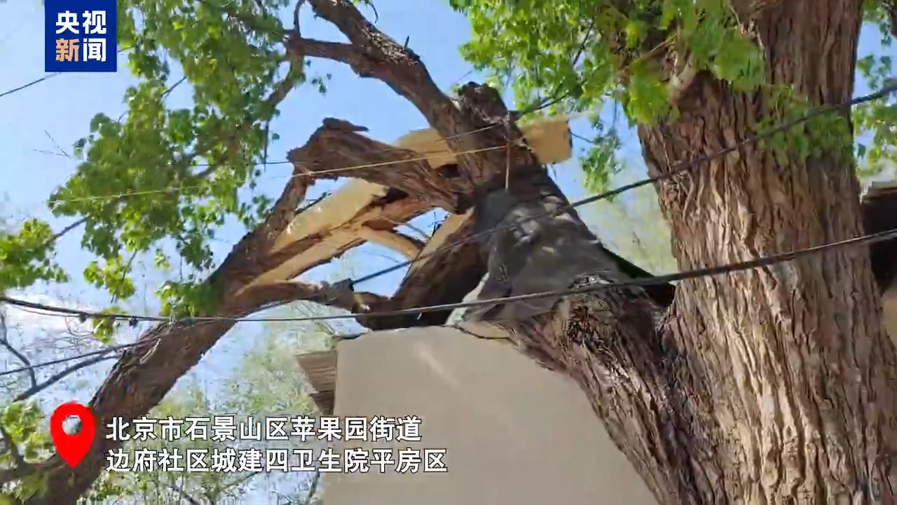 北京此次持續(xù)性大風天氣將在明天傍晚結(jié)束