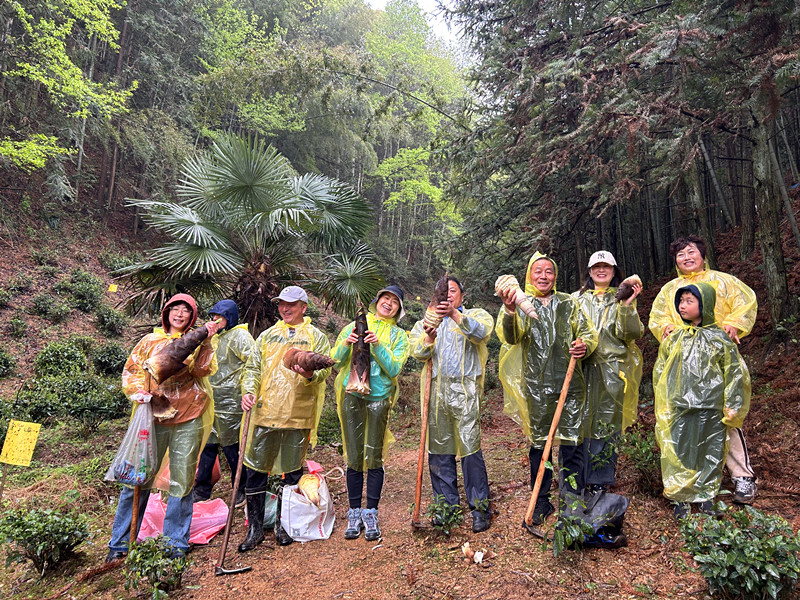 皖黟縣：尋味洪星 樂(lè)享筍趣