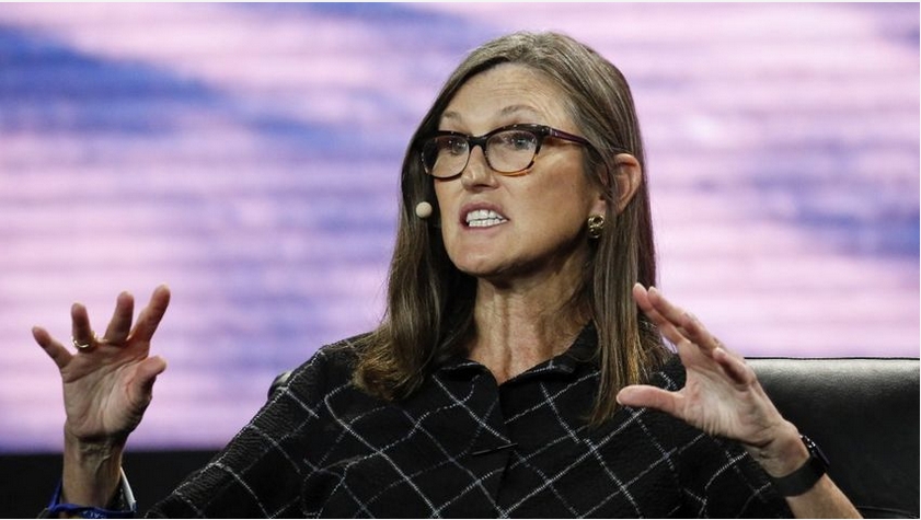 美國(guó)女股神另類見解：特朗普關(guān)稅是「休克療法」 長(zhǎng)遠(yuǎn)影響正面