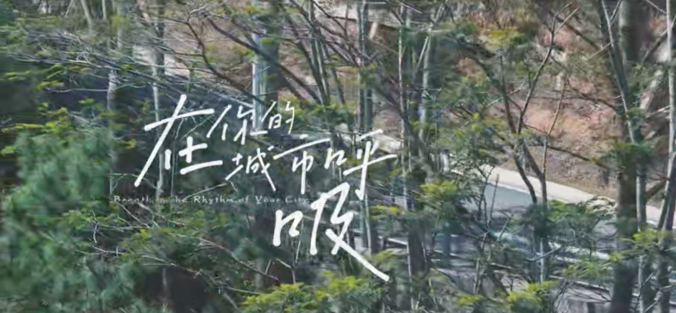 首屆廈門海滄區(qū)公園生活季短視頻大賽獲獎(jiǎng)作品展播｜二等獎(jiǎng)《在你的城市呼吸》