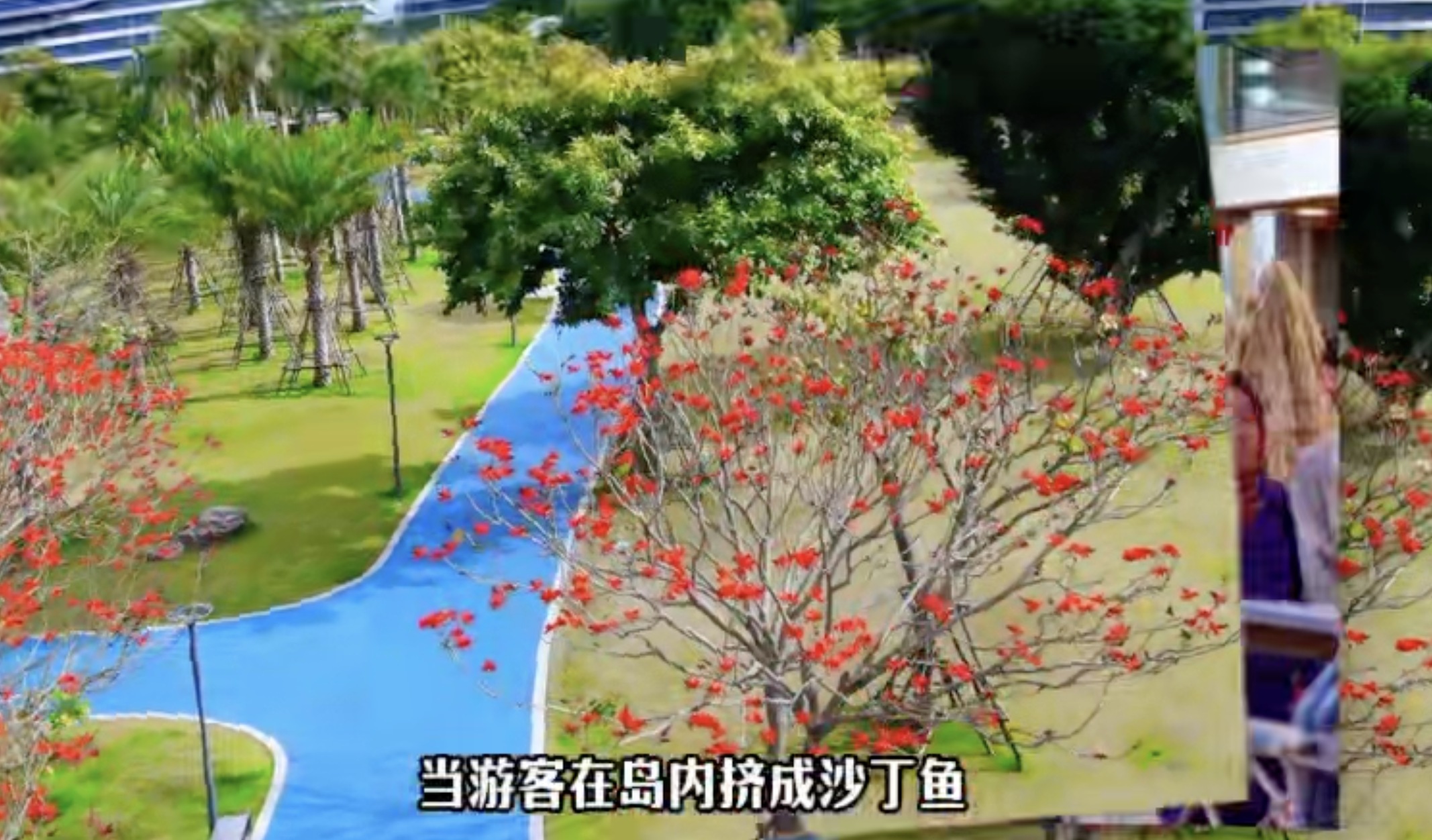 首屆廈門海滄區(qū)公園生活季短視頻大賽獲獎(jiǎng)作品展播｜三等獎(jiǎng)《廈門慢生活》