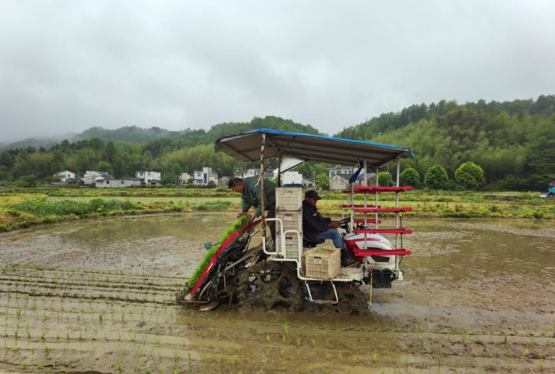 黟縣「兵支書」蔣勇：戎裝換農(nóng)裝 初心永向陽
