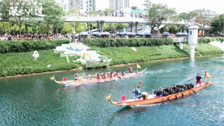 2025粵港澳龍舟邀請賽「劃」出宣文旅商融合發(fā)展新圖景