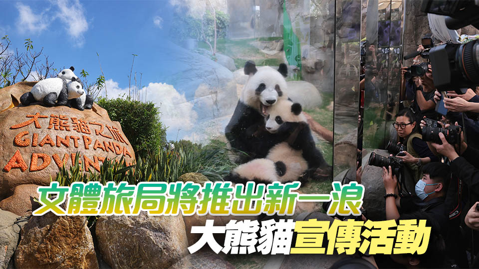 市民旅客對大熊貓反應(yīng)熱烈 海洋公園入場人次按年增近兩成