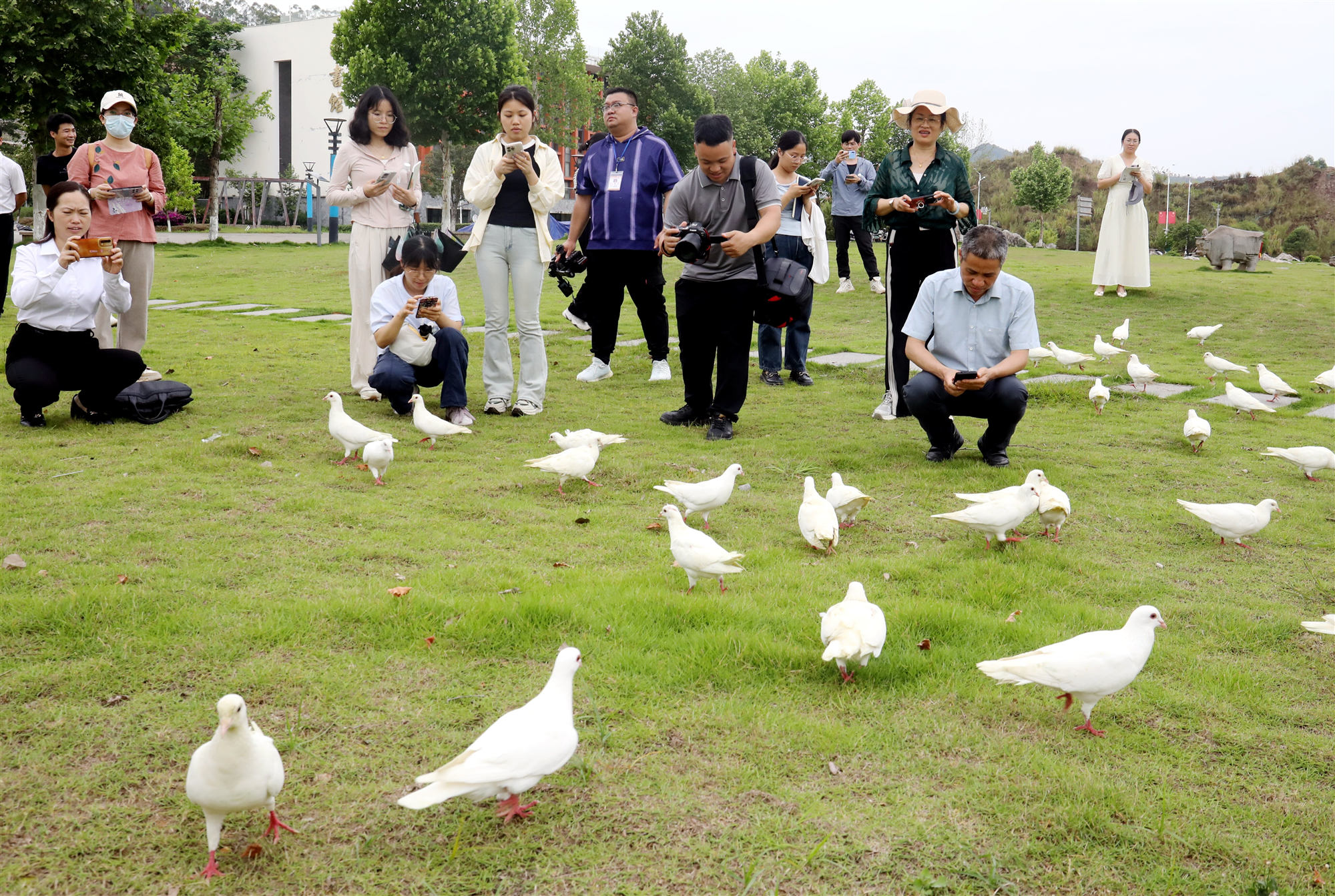 桂賀州平桂區(qū)打造「觀鳥+」生態(tài)旅遊新引擎