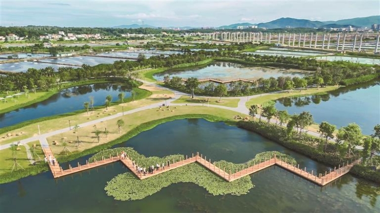 中山三年治水攻堅 基本消除黑臭河涌