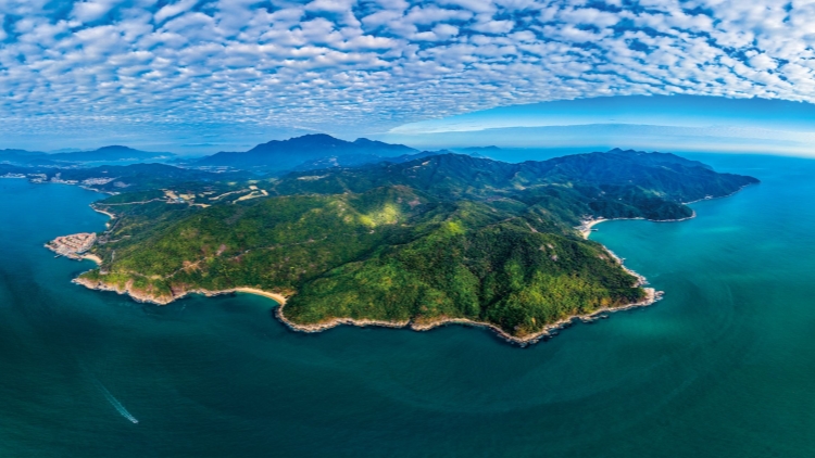 深圳大鵬：以招商引資新突破助推經(jīng)濟(jì)高質(zhì)量發(fā)展