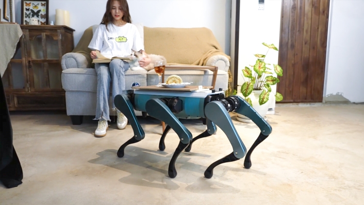 首推「機(jī)械臂+人形+六足」 越疆發(fā)布六足仿生機(jī)器狗