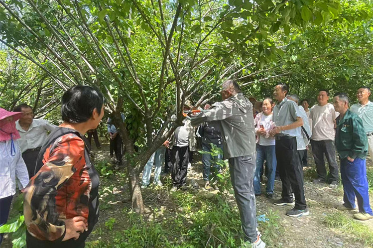 皖黟縣：「訪企入村」優(yōu)作風(fēng) 紓困解難促發(fā)展