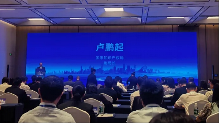 2025年內地與香港澳門知識產(chǎn)權研討會在深舉辦