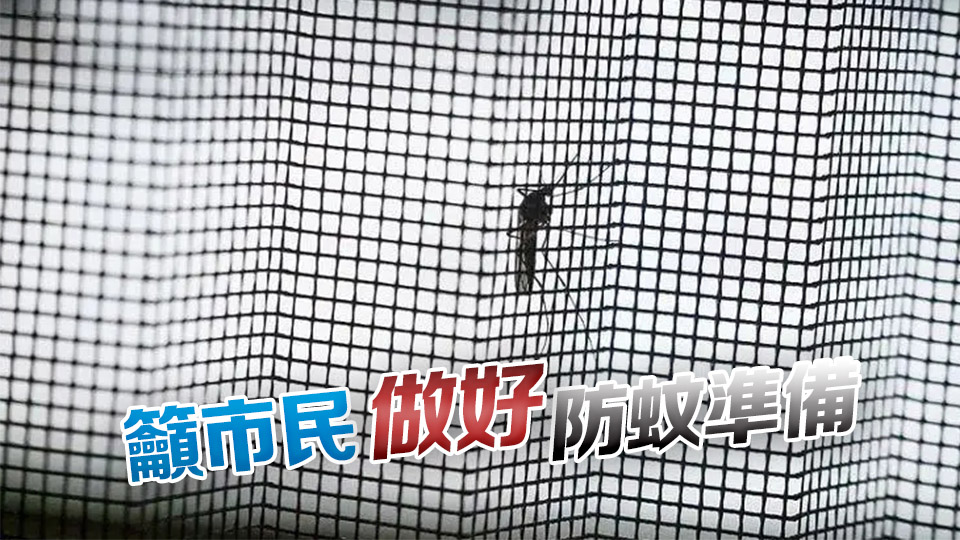 基孔肯尼亞熱大規(guī)模暴發(fā) 專家料本港輸入個案無可避免