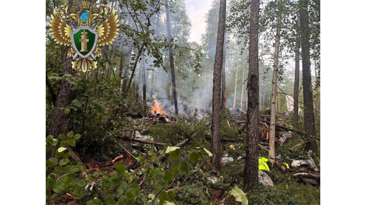 首批俄失事客機(jī)墜毀現(xiàn)場(chǎng)圖片公布