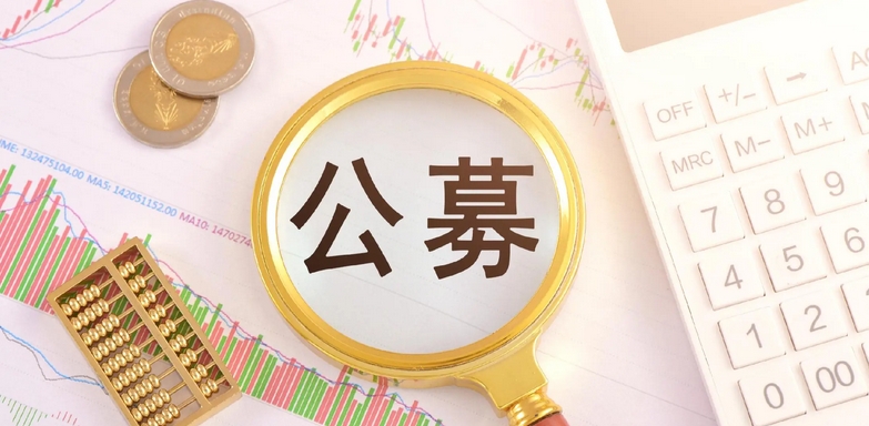 【財通AH】公募基金二季度持股逾2900隻 重倉電子和新能源行業(yè)