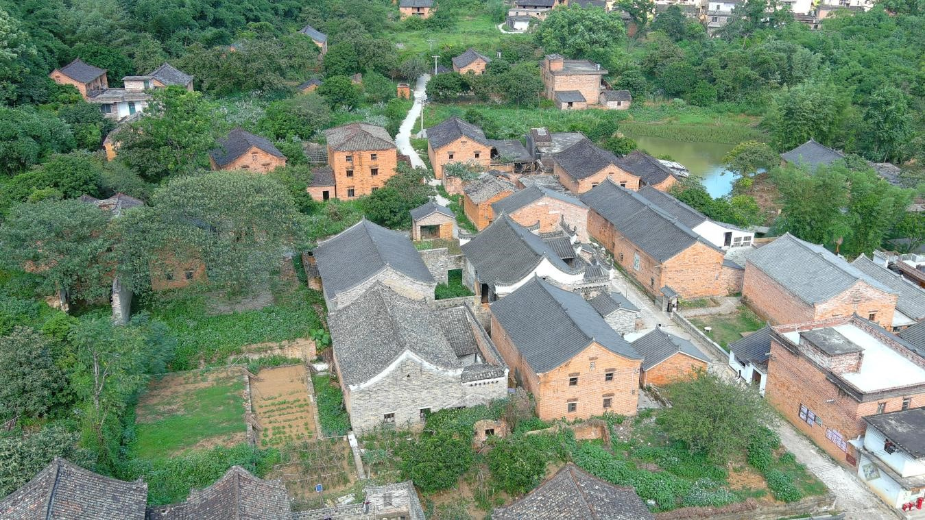 空心村「復(fù)活」 桂賀州荷塘老寨成青年棲息地