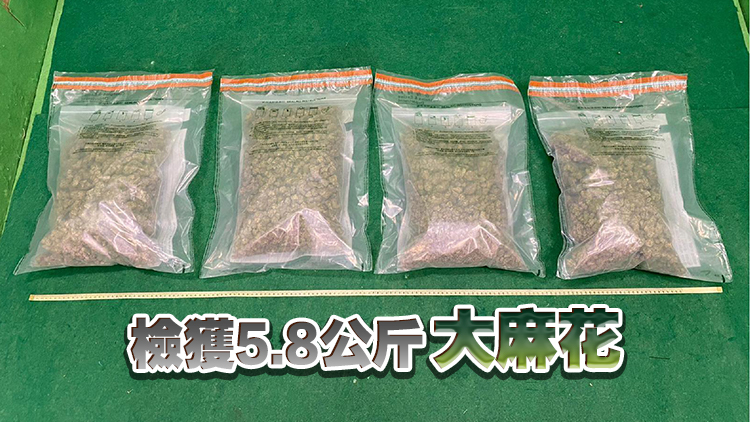 海關(guān)葵涌檢值120萬(wàn)元懷疑大麻花 拘捕28歲男子