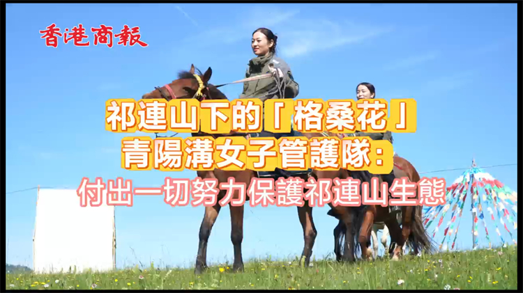 有片丨祁連山下的「格?；ā?青陽溝女子管護(hù)隊(duì)：付出一切努力保護(hù)祁連山生態(tài)