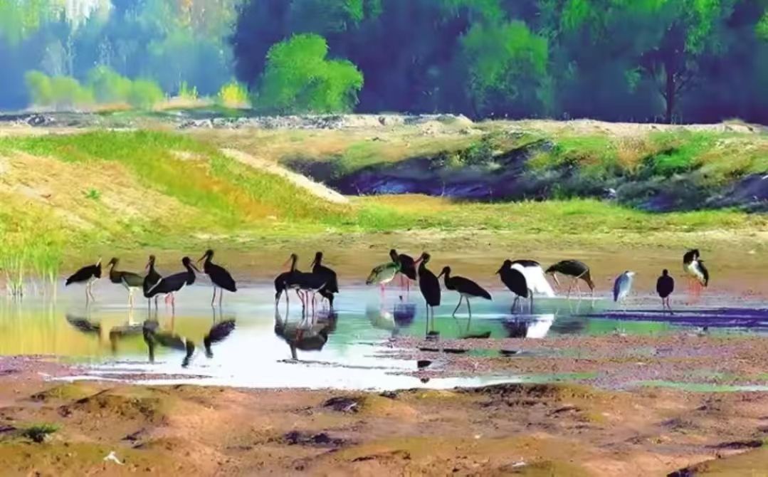 山西晉中：繪青綠畫(huà)卷 築生態(tài)屏障