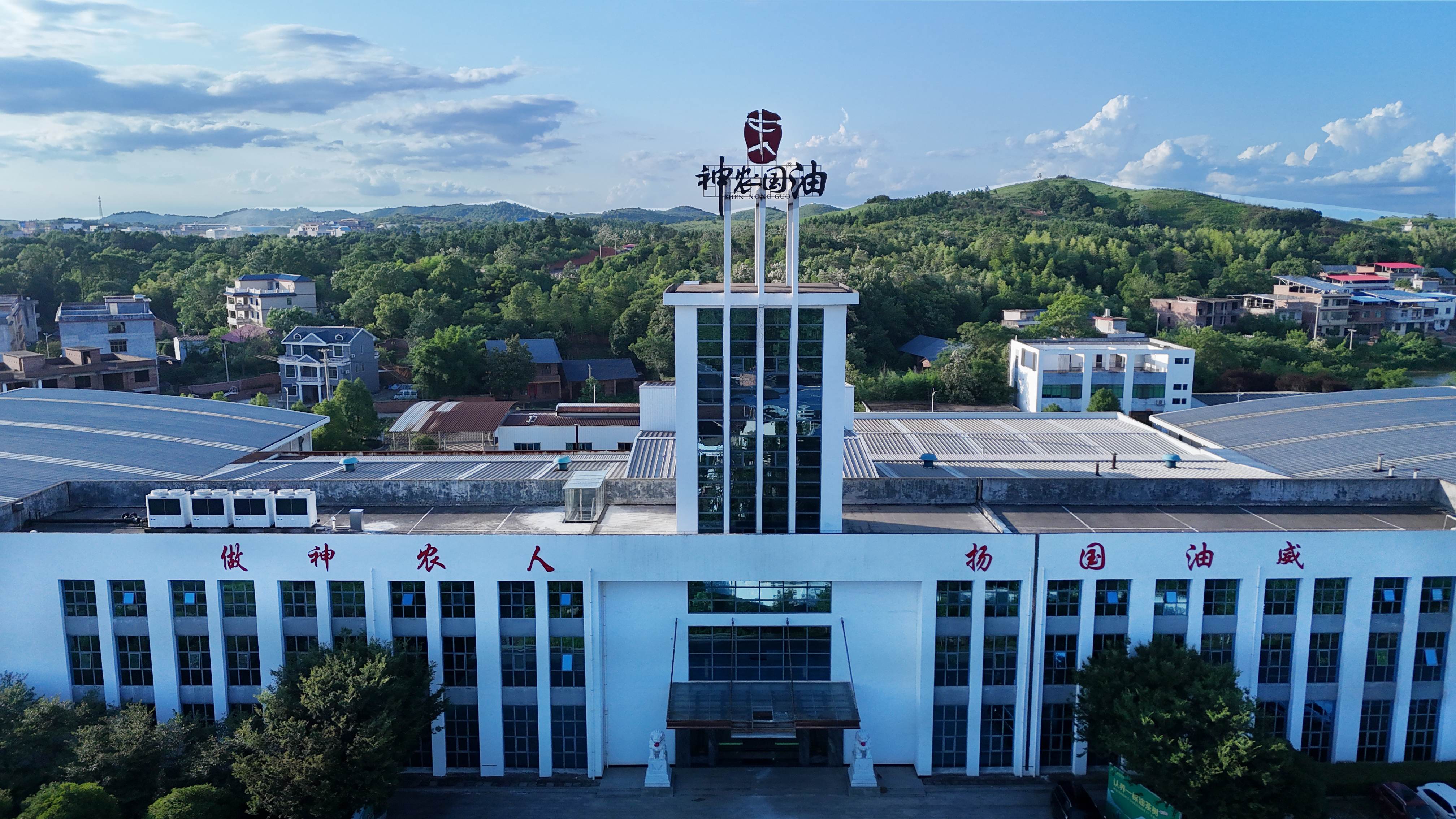 耒陽「綠色魔法秀」：油茶開啟生態(tài)富民「狂飆」路