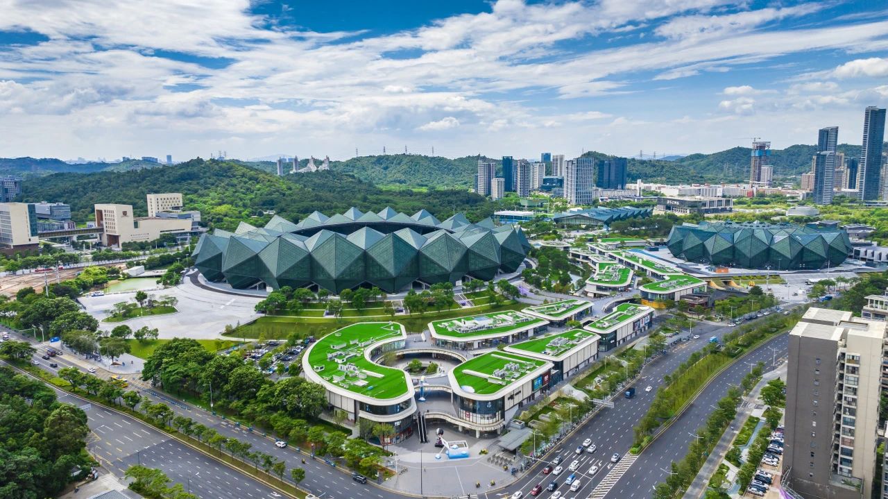 十五運(yùn)下周開(kāi)賽！龍崗發(fā)布深圳賽區(qū)門(mén)球賽賽程