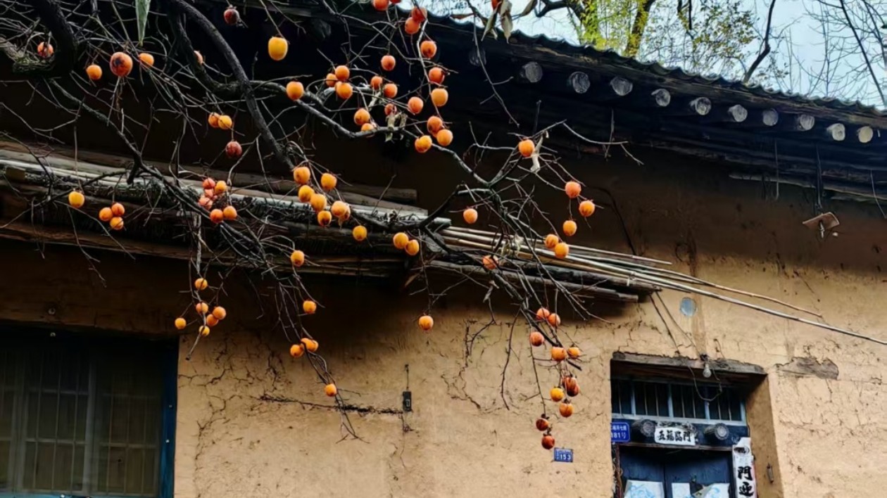 【長在隨筆】錢鍾書的《窗》