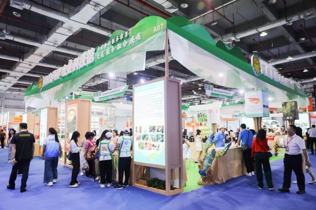 逛寶島風情品特色美食看未來科技 東莞臺博會11日啟幕