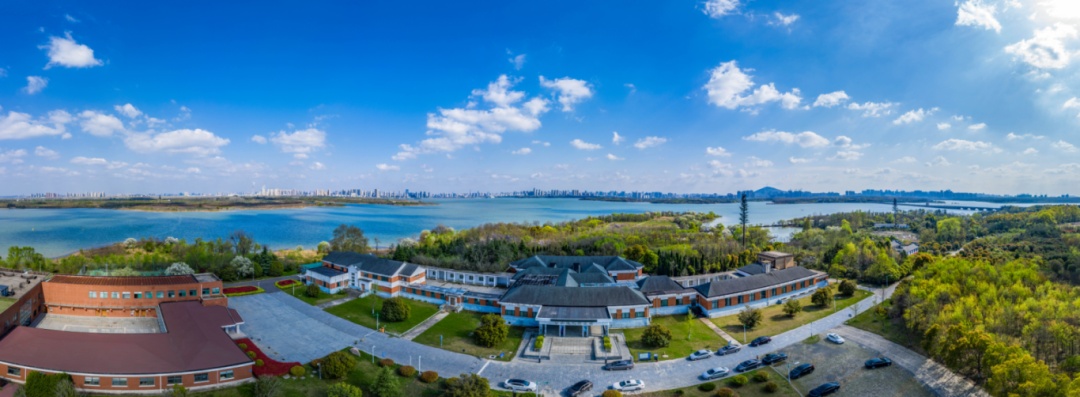 一手「王炸」！廬陽(yáng)怎麼打？