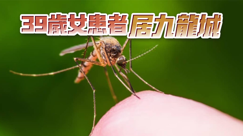 本港新增1宗基孔肯雅熱輸入個案 