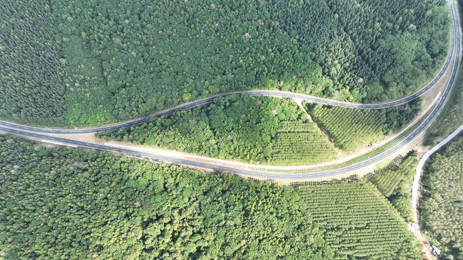 G331吉林段、沈白高鐵9月底即將開通  雙交通動(dòng)脈激活東北沿邊經(jīng)濟(jì)