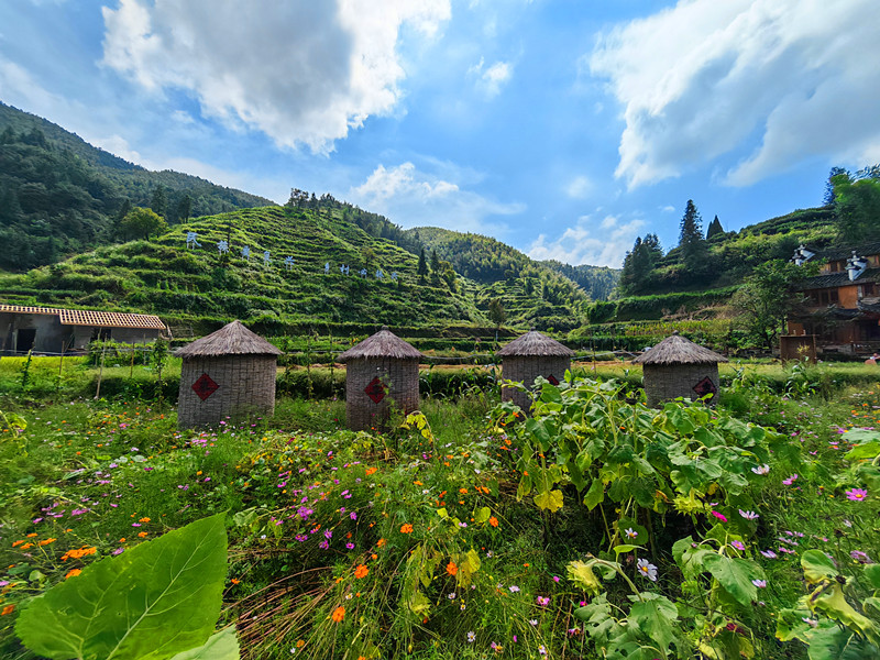 皖休寧溪口鎮(zhèn)：科技賦能 「夢裡祖源」神采飛揚