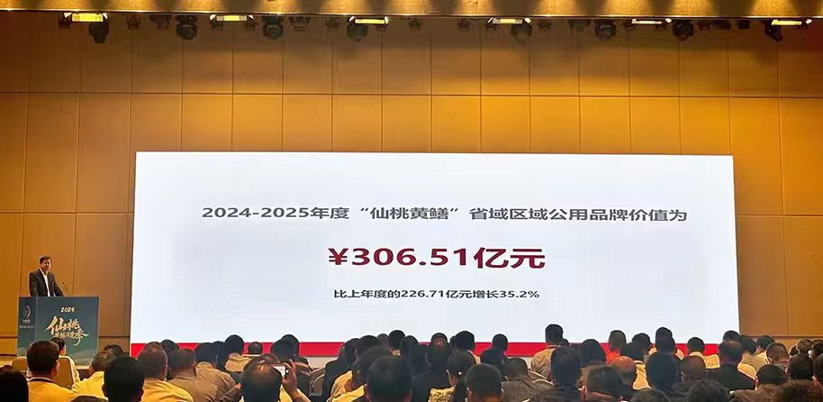 仙桃黃鱔品牌價值突破306億元 預計2029年總產(chǎn)值將達600億