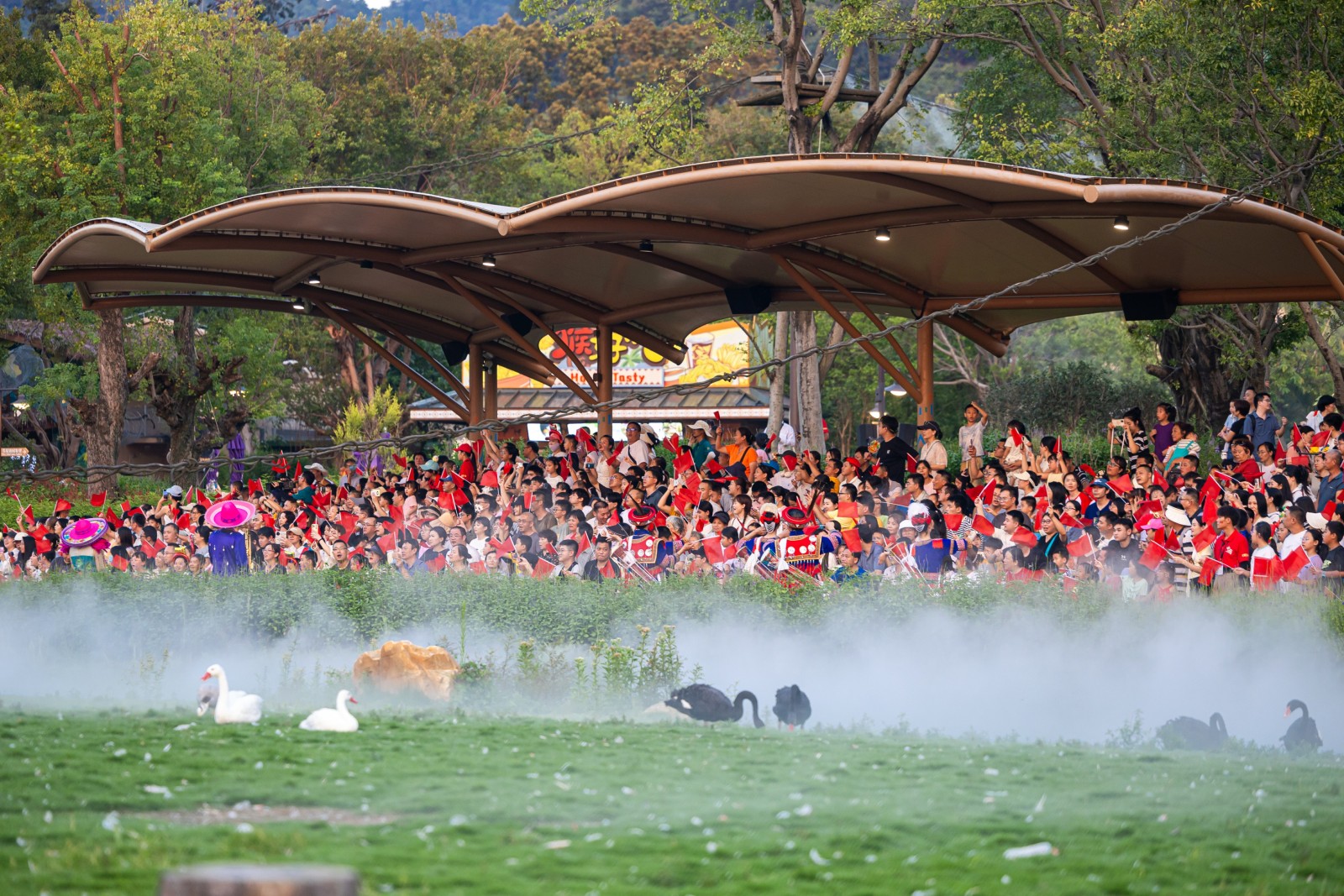 中秋特別活動  清遠(yuǎn)長隆開啟非洲野趣之旅