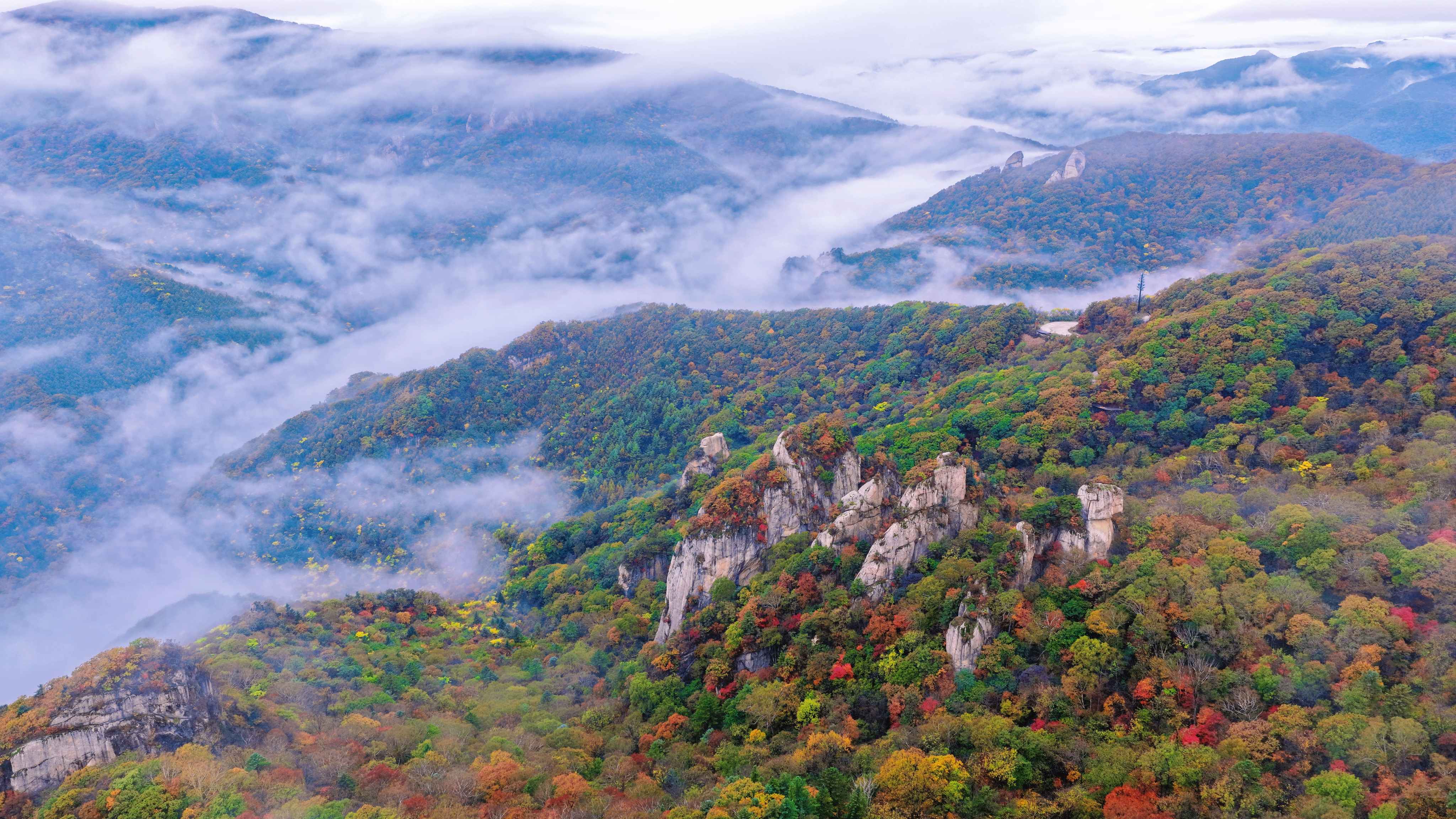 跨越千里的秋日之約 港人北上解鎖最美「楓」景線