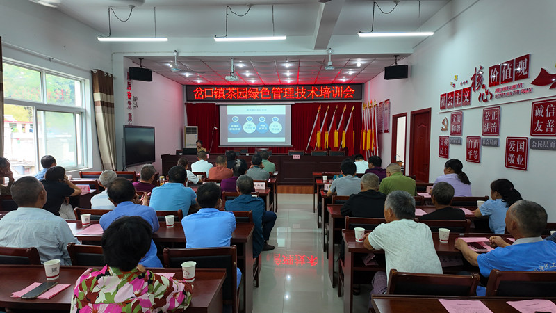 皖歙縣：培訓(xùn)進茶區(qū) 茶園更「綠色」