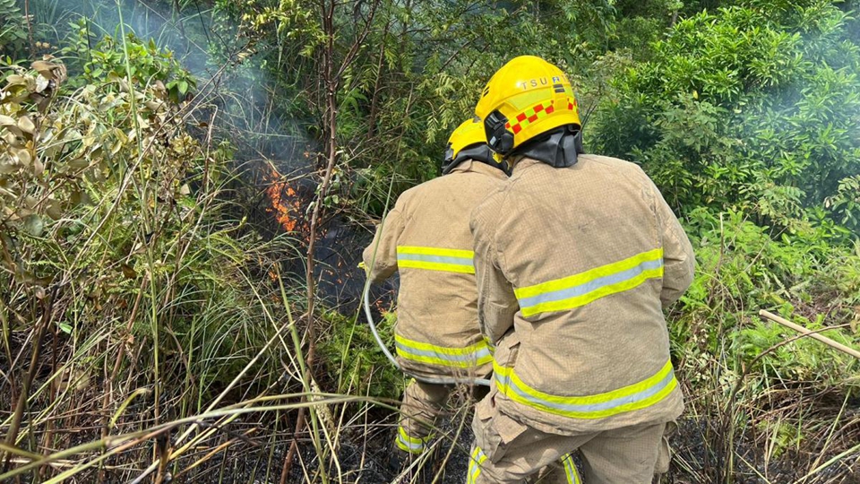 漁護(hù)署籲重陽節(jié)市民掃墓謹(jǐn)慎處理火種 防止發(fā)生山火