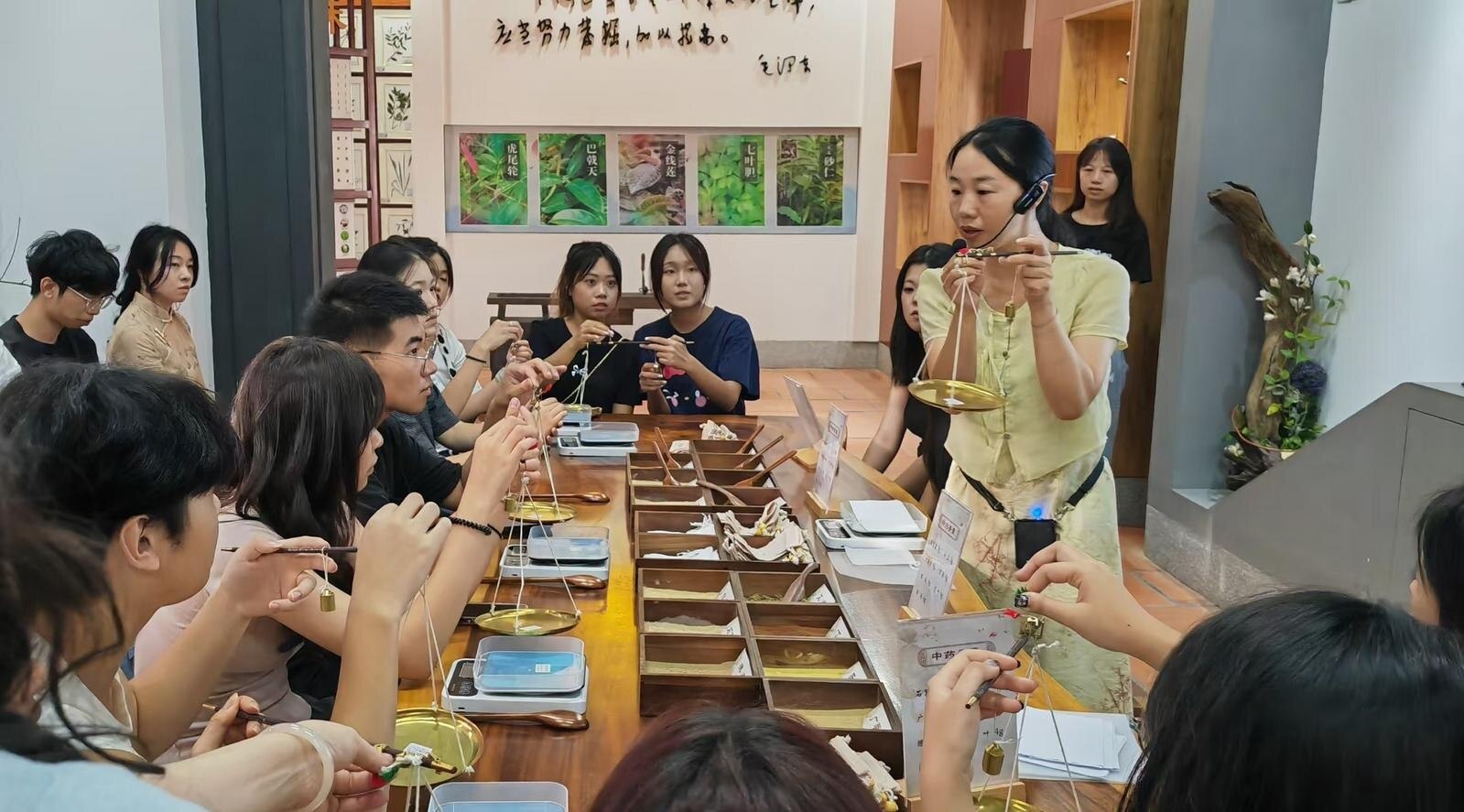 港澳青年在福建漳州開(kāi)啟中醫(yī)藥文化之旅