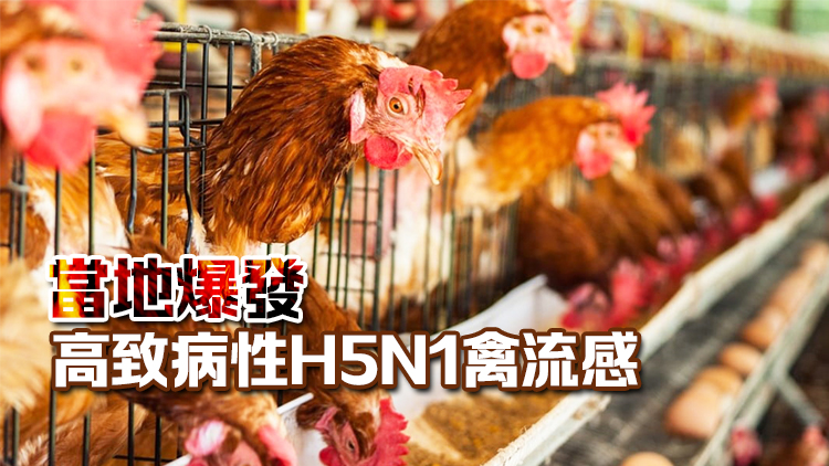 本港暫停進(jìn)口加拿大和法國(guó)部分地區(qū)禽肉及禽類產(chǎn)品