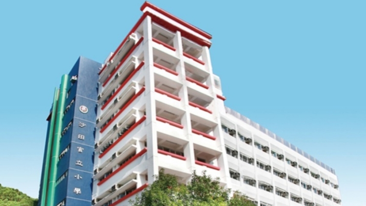 沙田官小準(zhǔn)以簡(jiǎn)體字應(yīng)考 教育局：教學(xué)語言政策不變