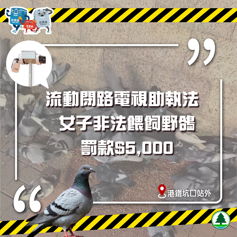 漁護署流動閉路電視助執(zhí)法 女子涉非法餵飼野鴿收告票