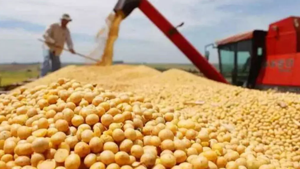 美國免除部分農(nóng)產(chǎn)品「對等關(guān)稅」