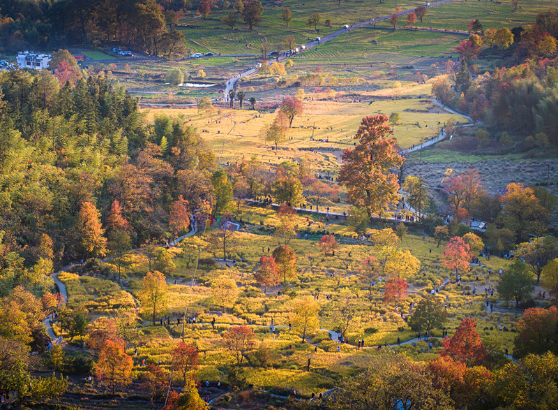 【港商觀察】這場(chǎng)國(guó)際文旅盛會(huì)何以花落黃山？