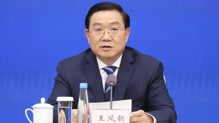 四川成都市市長王鳳朝被查！